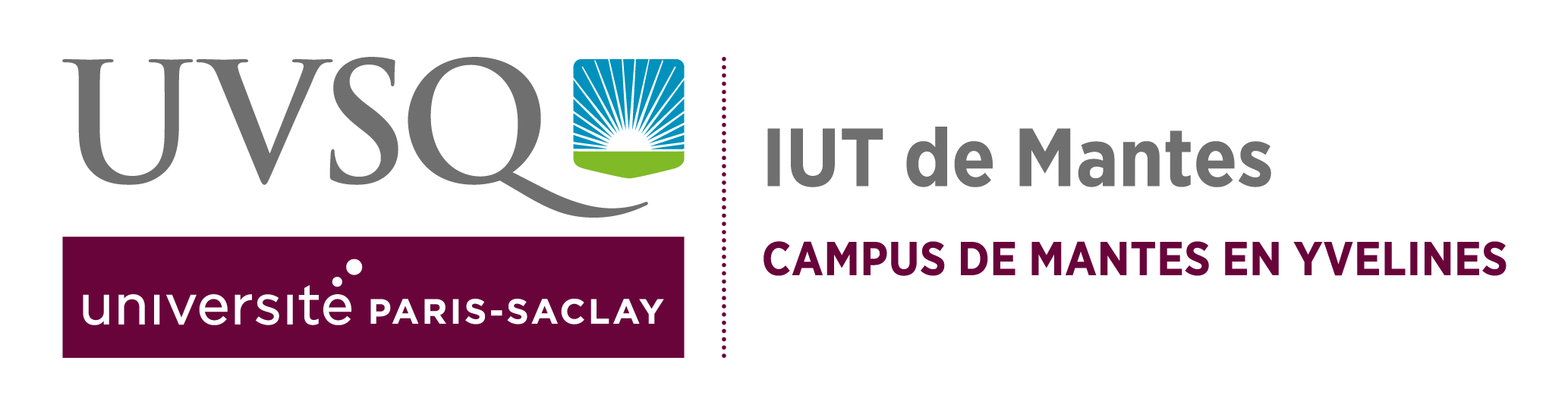 Logo IUT Mantes
